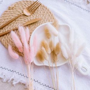 Flores decorativas 30pcs Natural Flor Seco Tail Grass Pampas Buquê Real Buquê para Pograções FLORES DIY DIY HOMEM DECOR