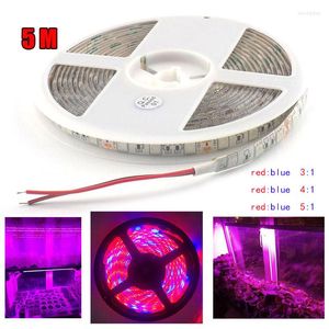 Grow Lights 5M LED Plant Strip Growing Phyto Lamp DC 12V Chips For Veg Flower Hydro Greenhouse Indoor Growbox Tent