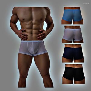 Unterhosen Sexy Herren Atmungsaktive Mesh 3D Beutel Boxer Briefs Männliche Unterwäsche Eis Seide Trunks Bequeme Shorts