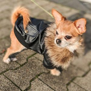 Köpek Kış Kış Down Down Pet Giyim Nefes Alabilir Kediler için Dayanıklı Yumuşak Sevimli Baskı Köpek Sıcak Ceket