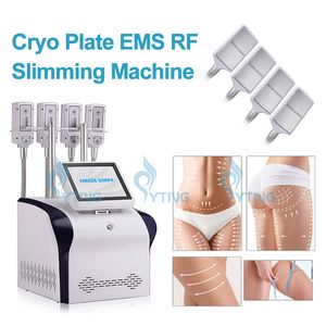 Fat Freeze Body Slant Machine 4 Kuddar Kall frysning Fettborttagning Cryo Plate Cryolipolysis Viktminskning