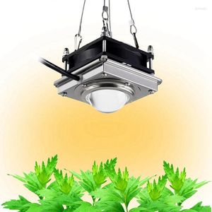 Grow Lights LED -växtljus COB Full spektrumstillväxt för inomhusväxter Succulent Flower Fill UK Plug