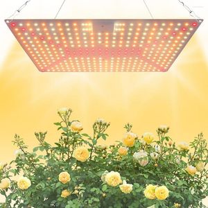 Luzes de cultivo 25W-65W Luz LED de espectro completo para plantas internas Daisy Chain Phytolamp Growth Iluminação Sunlight Painel de flores