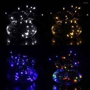 Strings 12m 100Ld IP68 LED Holiday String Lights Christmas Fairy