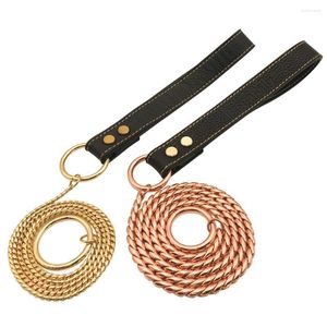 Colarinhos de cachorro 5mm Gold P Chain Snake Leases Harness Colar Twisted Pet Show Treinamento Cara Leashé