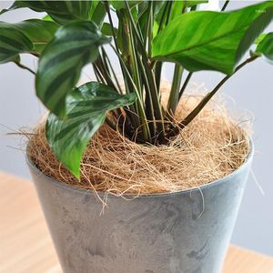 Decorative Flowers 1PC Natural Coconut Fiber For Bird Nest Coco Liner Reptile Bedding Material Home Gardening Cultivation Planting Medium