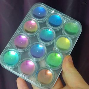 Paznokcie brokat 12 colors/Set Super Chrome kameleon MICA proszek kolor kolorów pigment perłowych do dziewicy/farby epoksydowej/epoksydowej