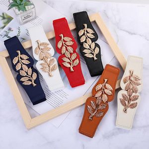 Cintos folhas de ouro fivela feminina cinto de cinto decorativo de moda elástica selo para meninas vestidos de jacóteas suéteres