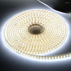 شرائط 2835 قابلية AC220V LED Strip Light 120leds/M 5m Kitchen Outdoor Garden Lamp Tape Neon Ribbon Room