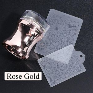 Nail Art Kits Stamping Plate Tools 6 Colors Manicure Scraper Clear Silicone Head Polish Transfer Template Mirror Stamper