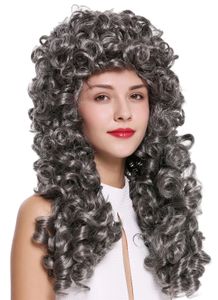 Wig Ladies Men's Barokeque Renaissance King Edelmann Long Curls Curly Grey