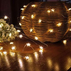 Strings 2M 3M LED Star Copper Wire String Lights Fairy Battery Operate Christmas Wedding Party Year Decoration