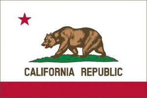 カリフォルニア州立旗共和国アメリカ90x150cm装飾用のバナー