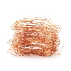 Str￤ngar 5m 50 LED Copper Wire String Lights Holiday Lighting For Fairy Christmas Tree Garland Wedding Party Decoration USB Interface