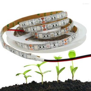 Grow Lights Strip Light DC12V Non-Waterproof Growing LED Plant Lamp Semis Greenhouse Hydroponic 5M