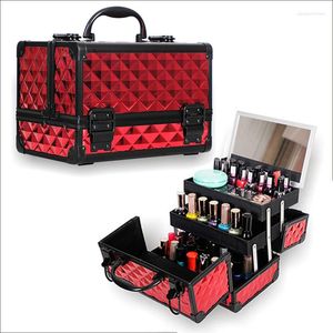 Cosmetic Bags Professional Makeup Box Aluminum Alloy Make Up Organizer Women Case With Mirror Travel Large Capacity Suitcases Bag