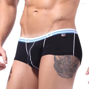 UNDUPTS BOXERS CUECA BOXER SEXY ENDER ERKEK ENCE EĞİTİM ERKEK İpek Bikini Calvn Calzonsillos Şort