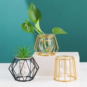 Iron Line Flower Vase Metal Plant Holder Modern Home Decor Vases Ornament Nordic Style Golden Black Glass Hydroponic Container 0930