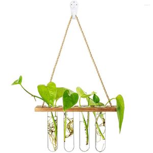 Vases Wall Hanging Test Tube Hydroponic Plant Propagator Mini Transparent Glass Propagation Station Brown