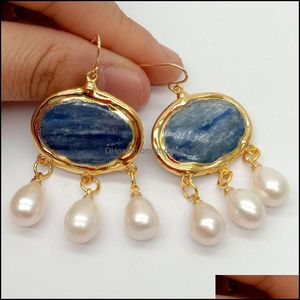 Stud oorbellen sieraden yygem vintage stijl natuurlijke ovaal blauw kyaniet witte rijst zoetwater parel parel haak goud gevuld voor w dhxt4