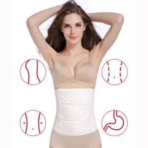 Intimo modellante per donna Guaina per pancia piatta da donna Dopo il parto Cintura in garza di cotone Vita Shaper Dimagrante Corpo Corsetto Cinture Modellanti Cinghie Slim