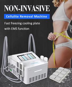 EMS Cryolipolysis Fat Freezing Macchina per la rimozione del grasso dimagrante 4 maniglie Diamond Ice Cryo Pad