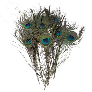 FESTIVO FESTIVO SUBSTORAÇÃO DE 10-12 PIN/25-30CM NATURAL PEACOCK OLHAS OLHOS DO CASA DE FIOS DE FIOS DE FIOS DIY GREEN DIY Decorações de casamento