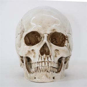 Objetos decorativos Figuras 1pcs/estátuas de pacote esculturas do crânio tamanho 1 1 1 artesanato decorativo réplica réplica de alta qualidade decoração de halloween resina 220827