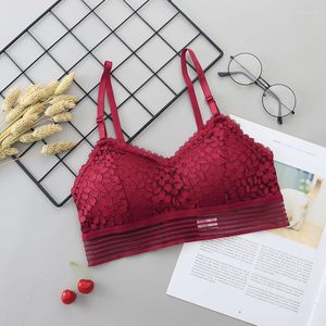 Bustiers Corsets Women Women Sexy Bras Lace sem costura Push up Underwear Fashion Tube Top embrulhado lingerie no peito