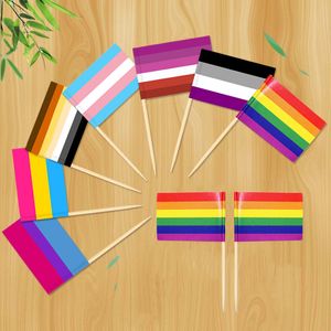 Lesbisk gay stolthet hbt flaggor tandpetare färgglada regnbågens flagg tandpetare 100 st/set banner eko vänlig träfruktprodukter th0176