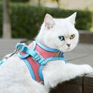 Dog Collars Leash Walking Set Pet Suede Cat Chest Strap Glow-in-the-dark Collar Supplies