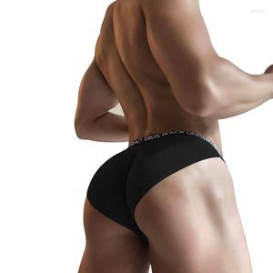 Underpants ORLVS 3pcs/lot Gay Underwear Men Briefs Slip Sexy Modal Sidecut Mens Sissy Panties Cuecas Man Free Ship