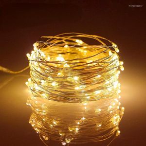 Saiten LED Lichter Kupferdraht String 1/2/5/10M Urlaub Outdoor Lampe Girlande Luces für Weihnachten Baum Hochzeit Party Dekoration