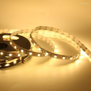 Strisce SMD LED Strip Light 60Leds/M RGB Stripe Flessibile String Nastro a nastro DC12V Vacanza Decorazione natalizia Non impermeabile