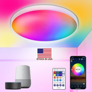 CNSUNWAY LED Ceiling Light Fixtures Flush Mount 12Inch 30W Smart Ceiling Lights RGB Color Changing Bluetooth WiFi App Control 2700K-6500K Dimmable Sync
