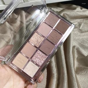 Sombra de olho DIKALU 10 cores sombra super shimmer perolado fosco terra paleta de cores de longa duração à prova d 'água olhos pigmento maquiagem