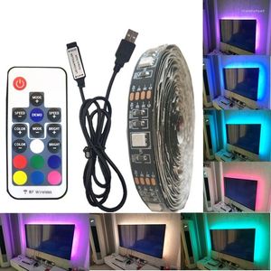 Tiras dc 5V faixa USB LED à prova d'água RGB Luz flexível 50cm 1m 2m Adicionar 3 17key Remote para iluminação de fundo de TV