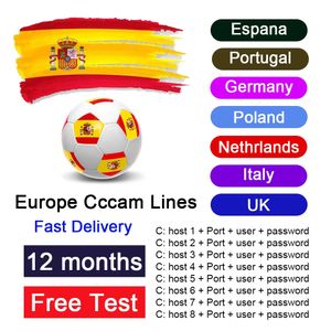Set Top Box CCCAM Europa CCAM Oscam Transfer Cable 4 K HD Transmissielijn Stabiel Europa/Spanje/Portugal Polen Satelliet Ontvangend antenne287239k