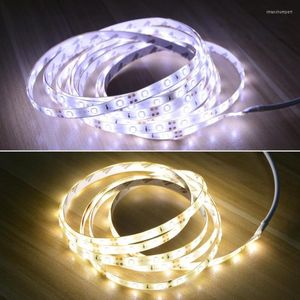 Strisce DC 5V LED Strip Light 2835 SMD Diodo Nastro Lampada 1m 2m 3m Impermeabile Retroilluminazione Maschio