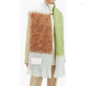 Sarves Designer Brand теплые женщины шарф пашмина Шаль