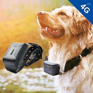 Dog Collar GPSトラッカーデバイス4G振動トレーニング健康監視システム1