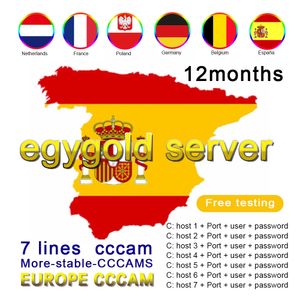 Wholesale HD Spain Cccam Antennas Cline Europe Cccams Server For Portugal Germany Poland Cape Verde Ccam Cline Satellite Receiver GTmedia v8 v7s
