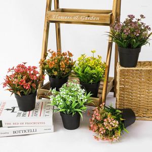 Dekorative Blumen, praktisch, realistisch, künstlicher Sukkulenten-Bonsai, künstlich, leicht, weit verbreitet, Simulationspflanze, Heimdekoration