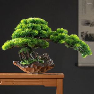 Flores decorativas Simulação Bem -vindo ornamentos de pinheiros verde Planta chinesa El Living Withit Woors Indoor Arhat Tree Cypress Bonsai