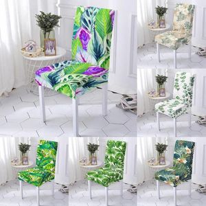يغطي الكرسي الأوراق الاستوائية غطاء مرنة الغطاء العالمي للألوان المائية الزهرة مقعد زهرة المقعد لغرفة الطعام الحفل