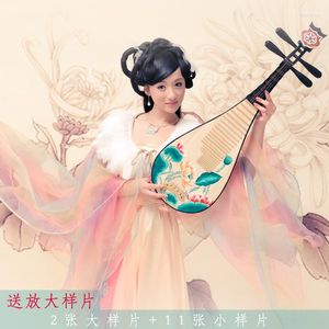 Stage desgaste Ling Chun Qu chineses Gala Pipa Play Costume Hanfu for Women Performance