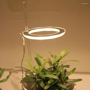 Grow Lights 1pc Angel Ring Light 5V USB Phytolamp för växter LED Full Spectrum Growth Lighting Indoor Plant Succulents