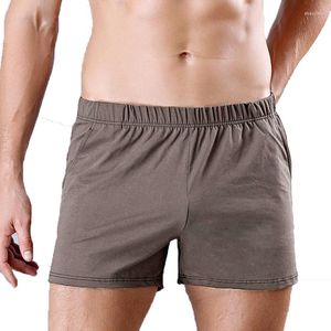Underpants Boxer Sexy Underwear Men Boxers Shorts Solid Ropa Interior Bokser Homme Cotton Sleep With Pockets