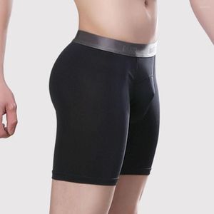 Underpants Mens Sexy Boxer Briefs Underwear Mesh Shorts Trunks Breathable Sport Boy Comfortable Soft