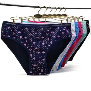 Kadın Panties Csywhs 4pcslot Kadınlar Pamuk Baskı Kılavuzu Büyük Boyut Külotlu Külotlu Külot Kadın Artı Boyut Külot Samimi 2xl 3xl 4xl 221202